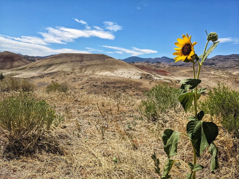Painted Hills