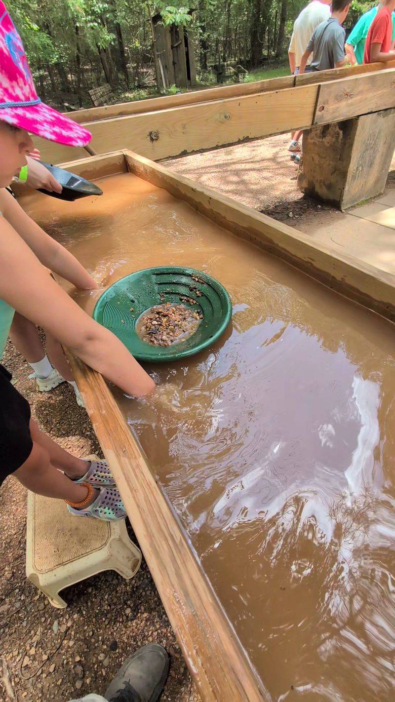 Panning for Gold in the Outdoor Trough Panning for Gold in the Outdoor Trough