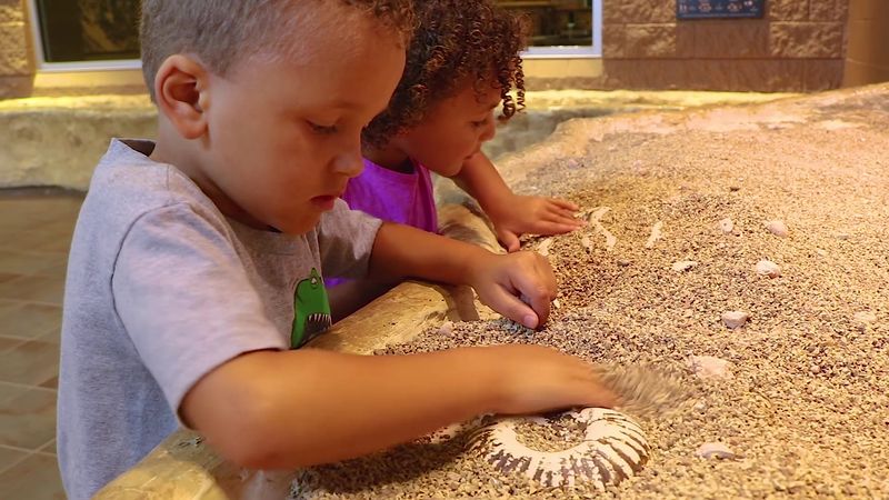 Panning for Treasure Like a Tiny Prospector
