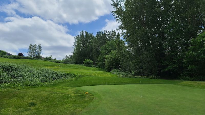 Par Three Golf and Backyard Games