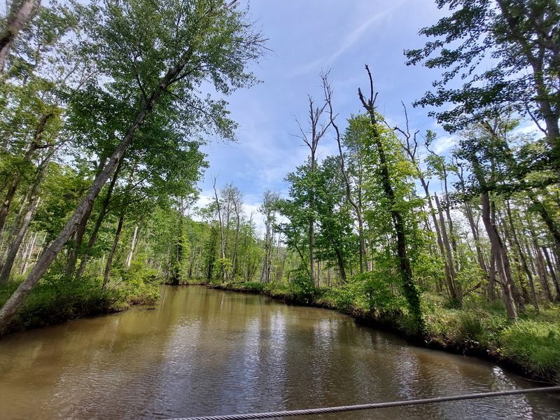 Parkers Creek, The Crown Jewel Nobody Should Skip