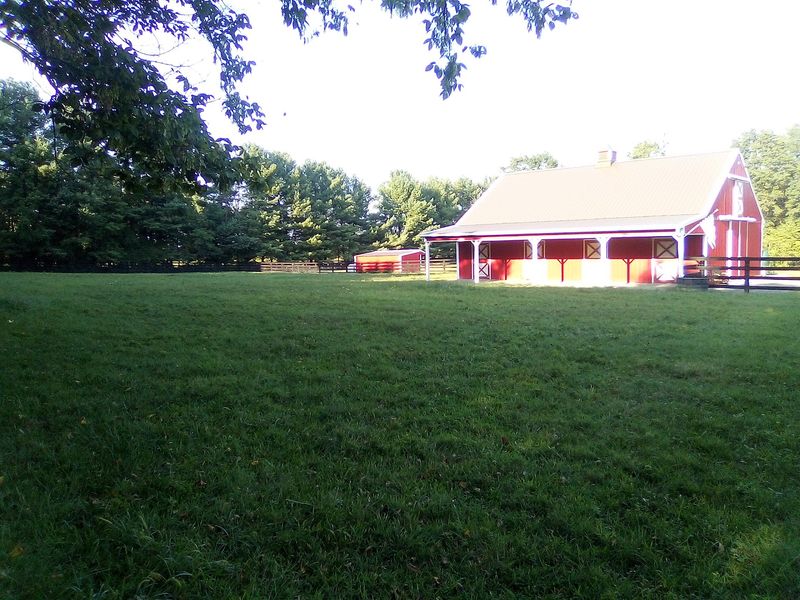 Pasture First, Always Pasture First, Always