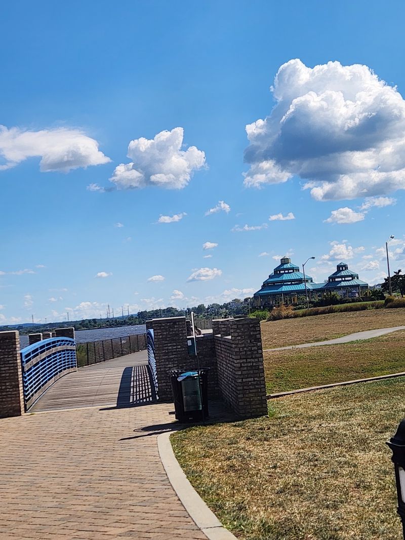Paved Paths That Keep Pulling You Forward