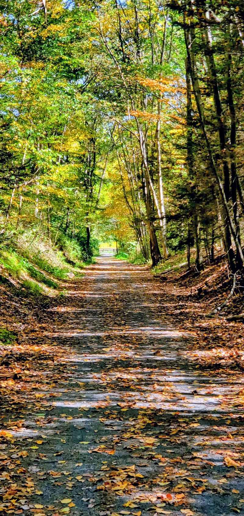 Pennsylvania's First Chartered Railroad Started Right Here