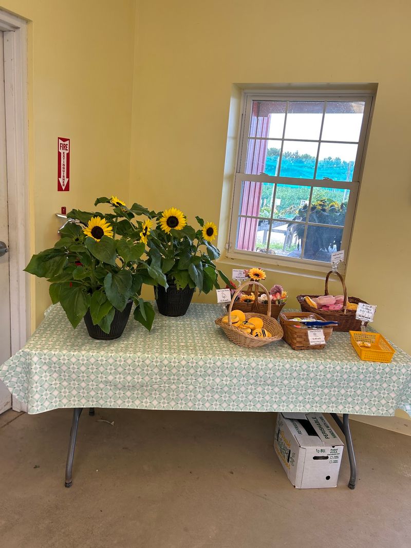 Perennials and Plants to Take Home