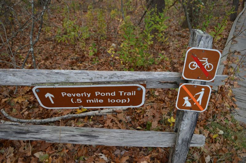 Peverly Pond Trail Packs A Lot Into A Short Stroll