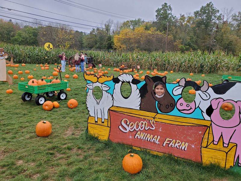 Photo Spots Scattered Everywhere, Including How Tall This Fall Boards