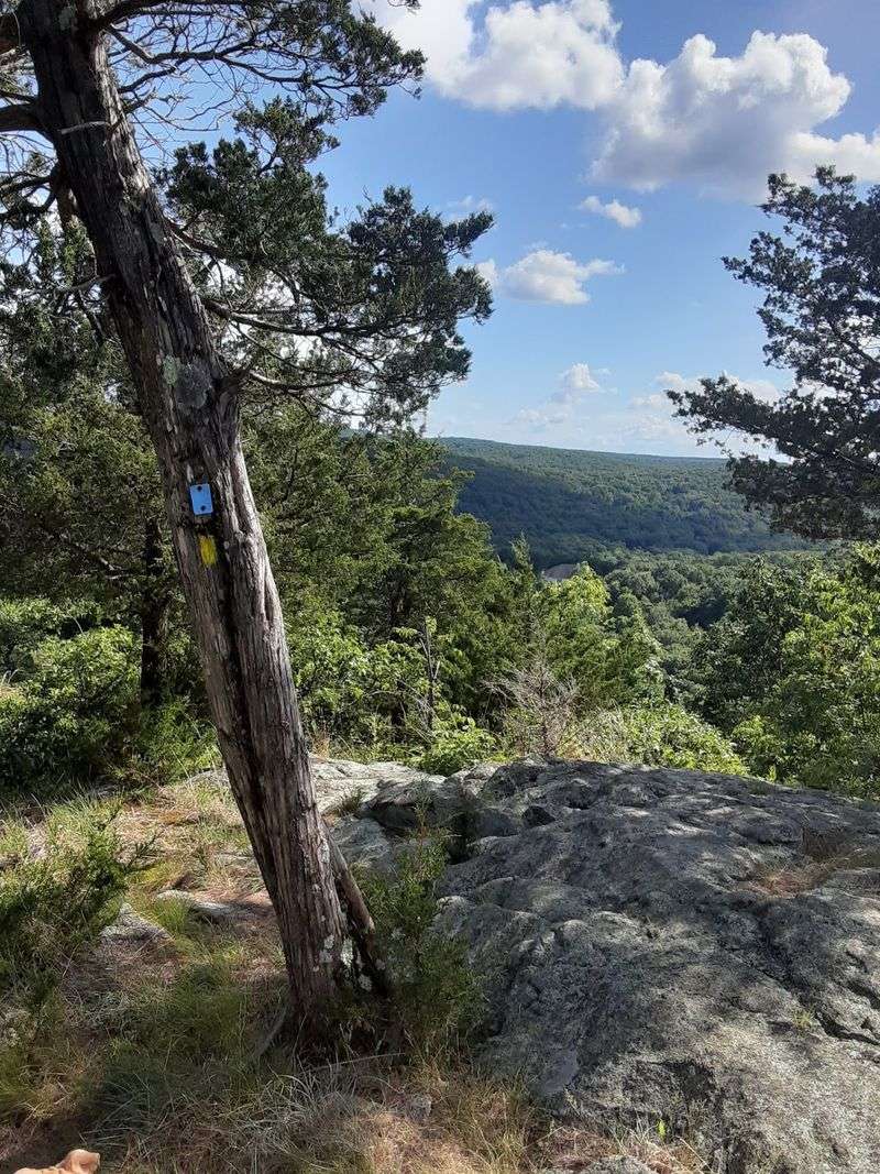 Picking The Right Season For Your Visit