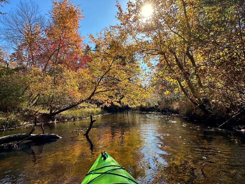 Picking the Right Season for Your Paddle Picking the Right Season for Your Paddle