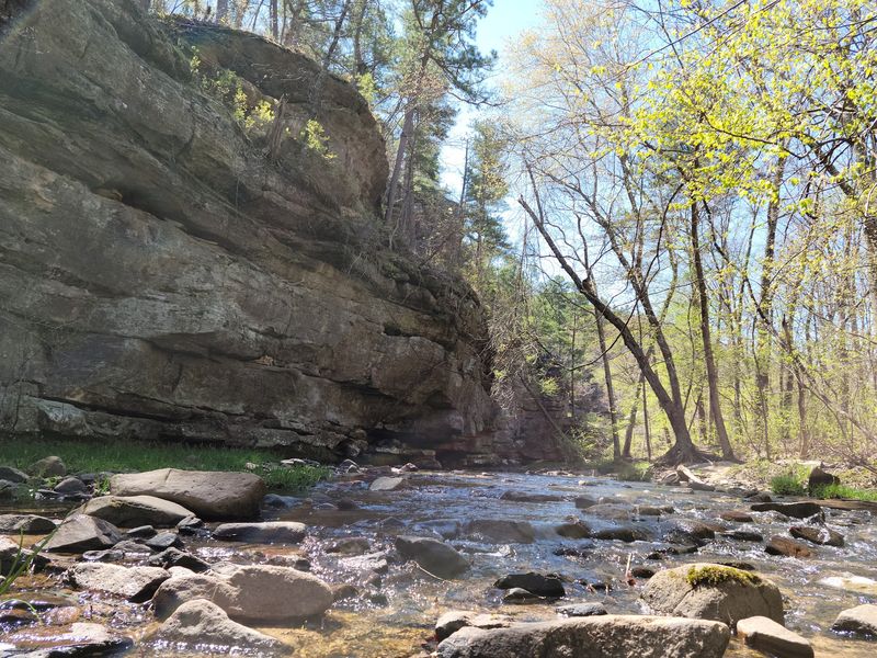 Pickle Creek And Its Sandy Clear Water Pickle Creek And Its Sandy Clear Water
