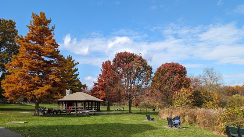 Picnic Spots And Grills Built For Long Afternoons