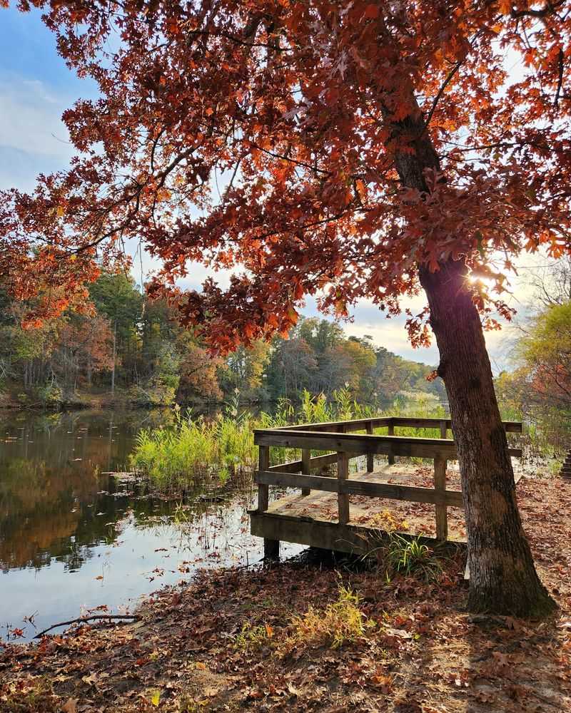 Picnic Spots And Pavilions For The Whole Crew