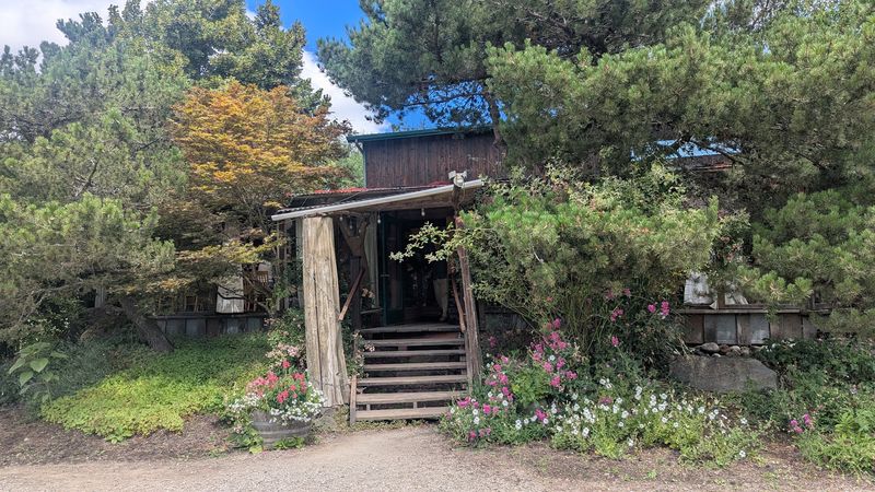 Picnic Tables Among The Flowers