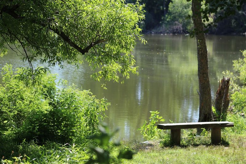 Picnic Tables, Benches, and Slow Afternoons