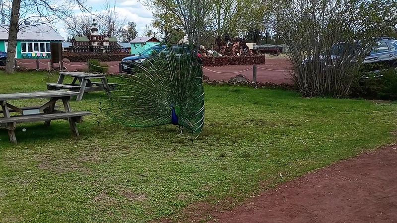 Picnic Tables, Slow Time and Desert Quiet Picnic Tables, Slow Time and Desert Quiet