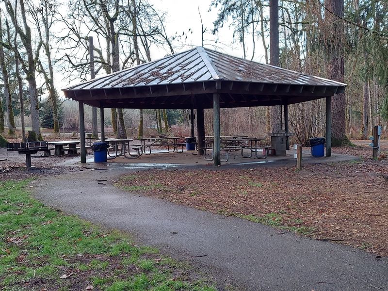 Picnic Tables Tucked Among The Trees