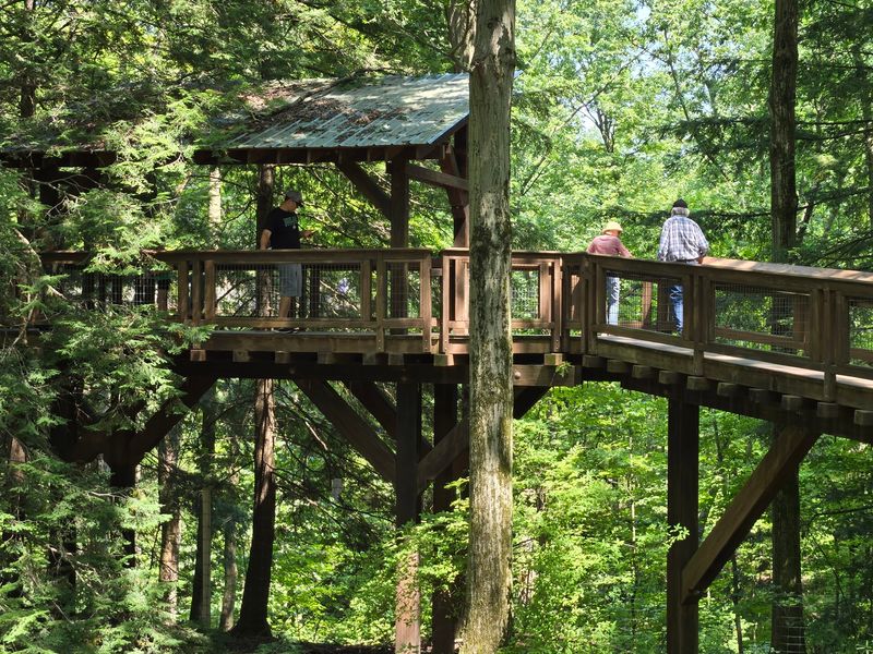 Picnics, Pups, and Visitor Center Comforts
