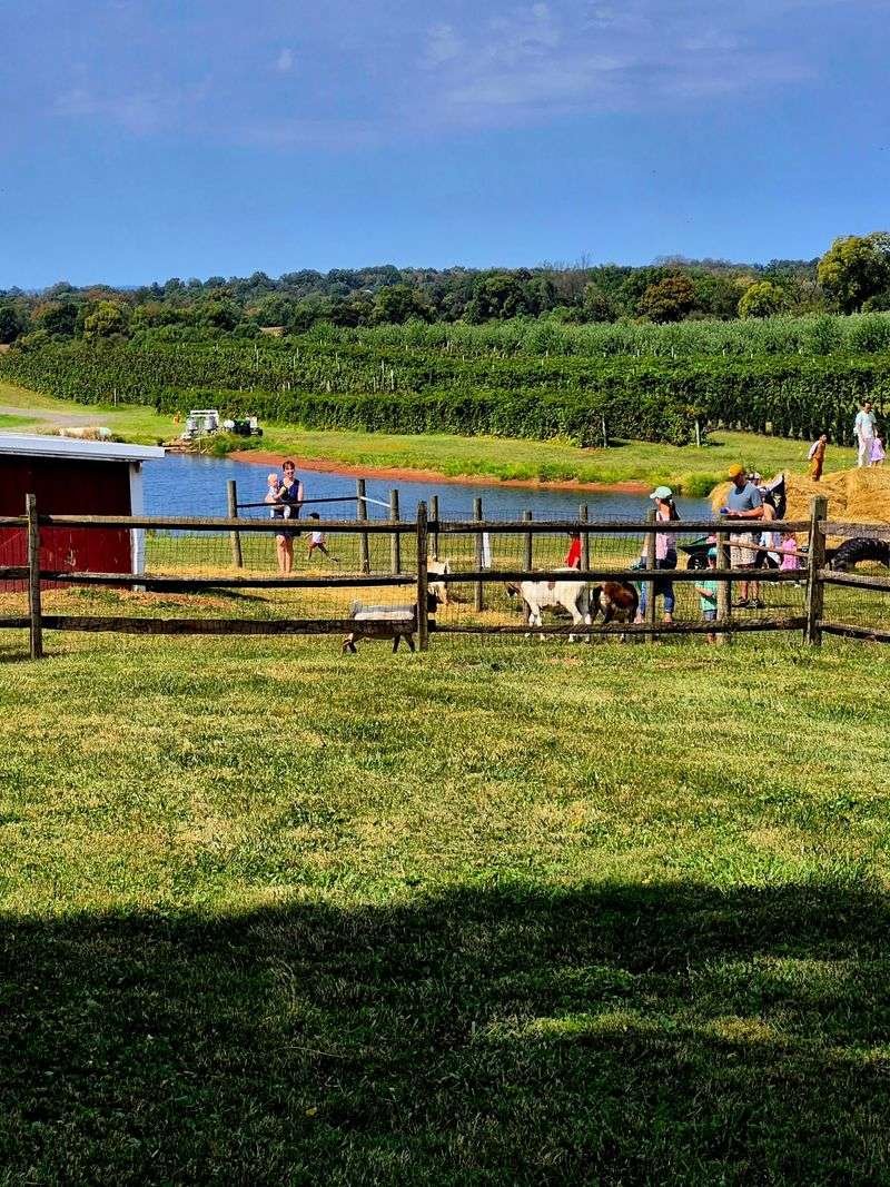 Picnics by the Pond and Slow Afternoons Picnics by the Pond and Slow Afternoons