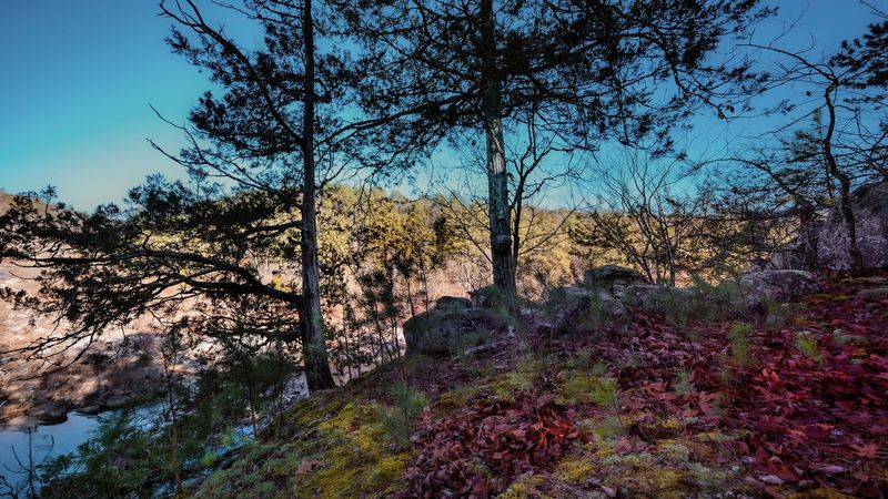 Pitching A Tent Under Ozark Stars