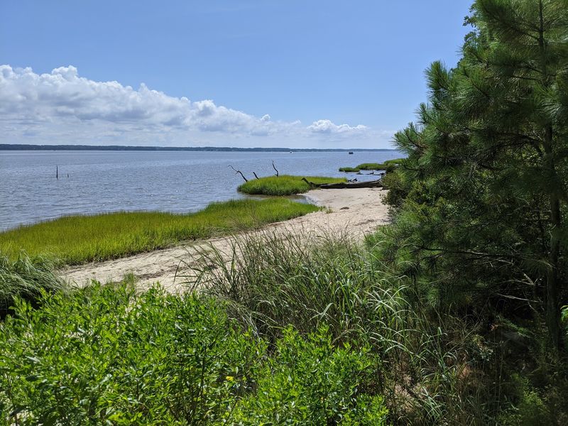 Plan Your Visit to York River State Park's Fossil Beach