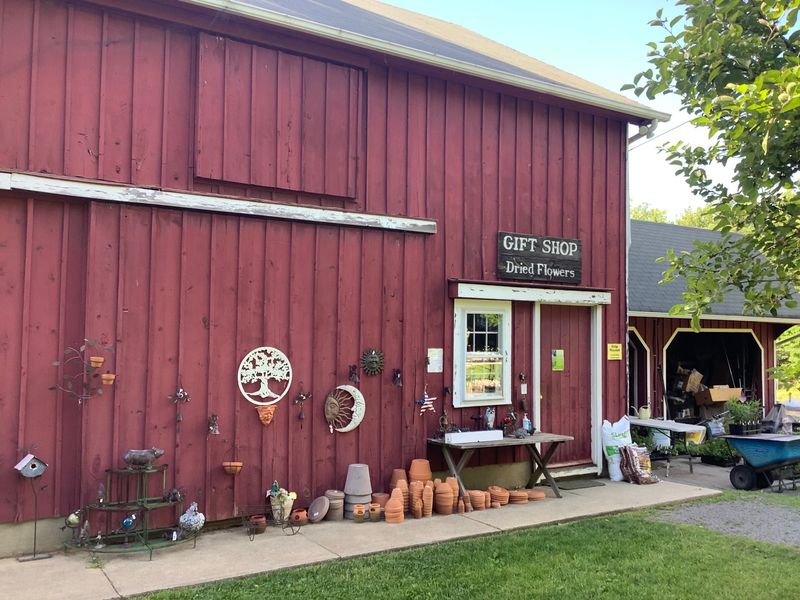 Planning A Visit To This Warren County Treasure Planning A Visit To This Warren County Treasure