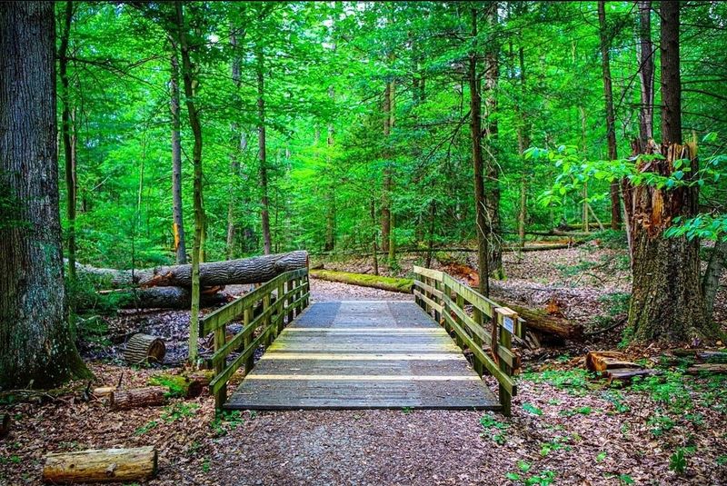 Planning Your Free Visit To This Storybook Setting