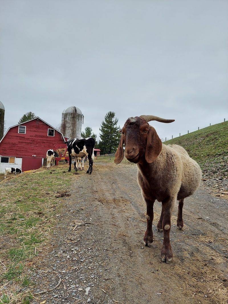 Planning Your Visit and Lending a Hand