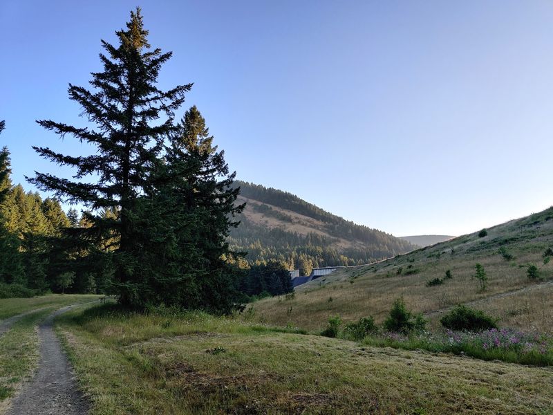 Planning a Stay That Actually Works