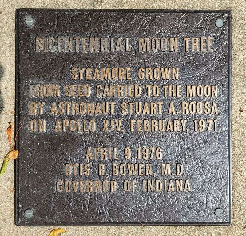 Planted On Arbor Day During America's Bicentennial