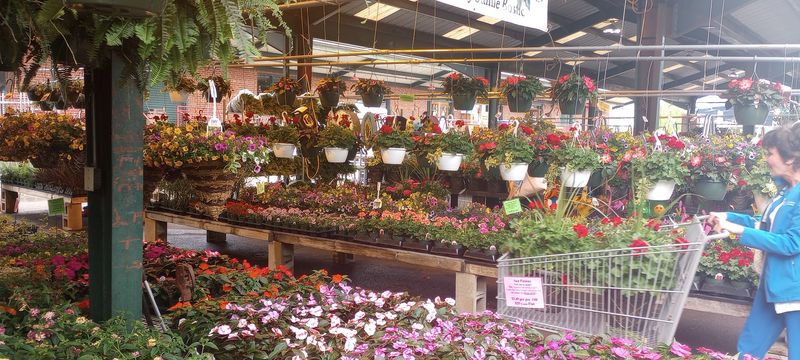 Plants, Flowers, and Fresh Produce Galore Plants, Flowers, and Fresh Produce Galore