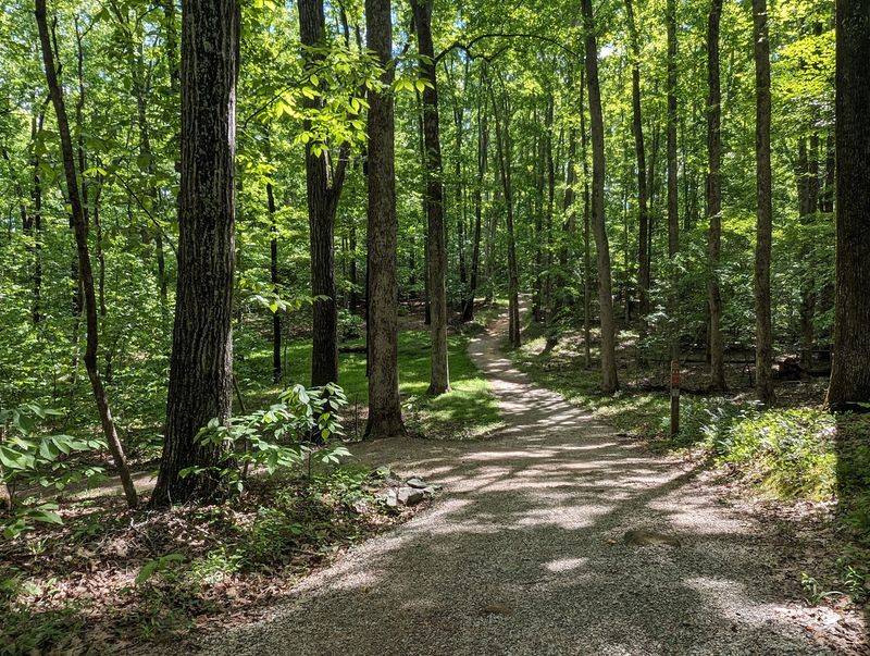 Pocahontas State Park Hands You Ninety Miles Of Forest Pocahontas State Park Hands You Ninety Miles Of Forest