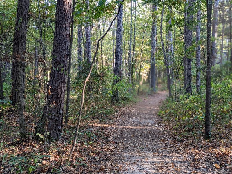 Pond Way Trail at Kreher Preserve and Nature Center Pond Way Trail at Kreher Preserve and Nature Center
