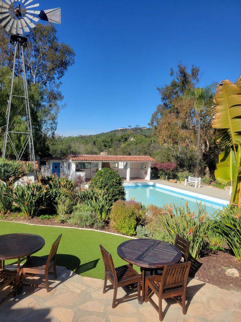 Poolside Fiestas and Hollywood Weekends