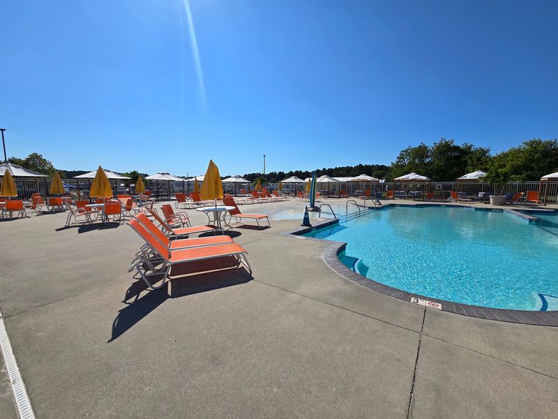 Poolside Loungers And Umbrellas Worth Fighting Over Poolside Loungers And Umbrellas Worth Fighting Over