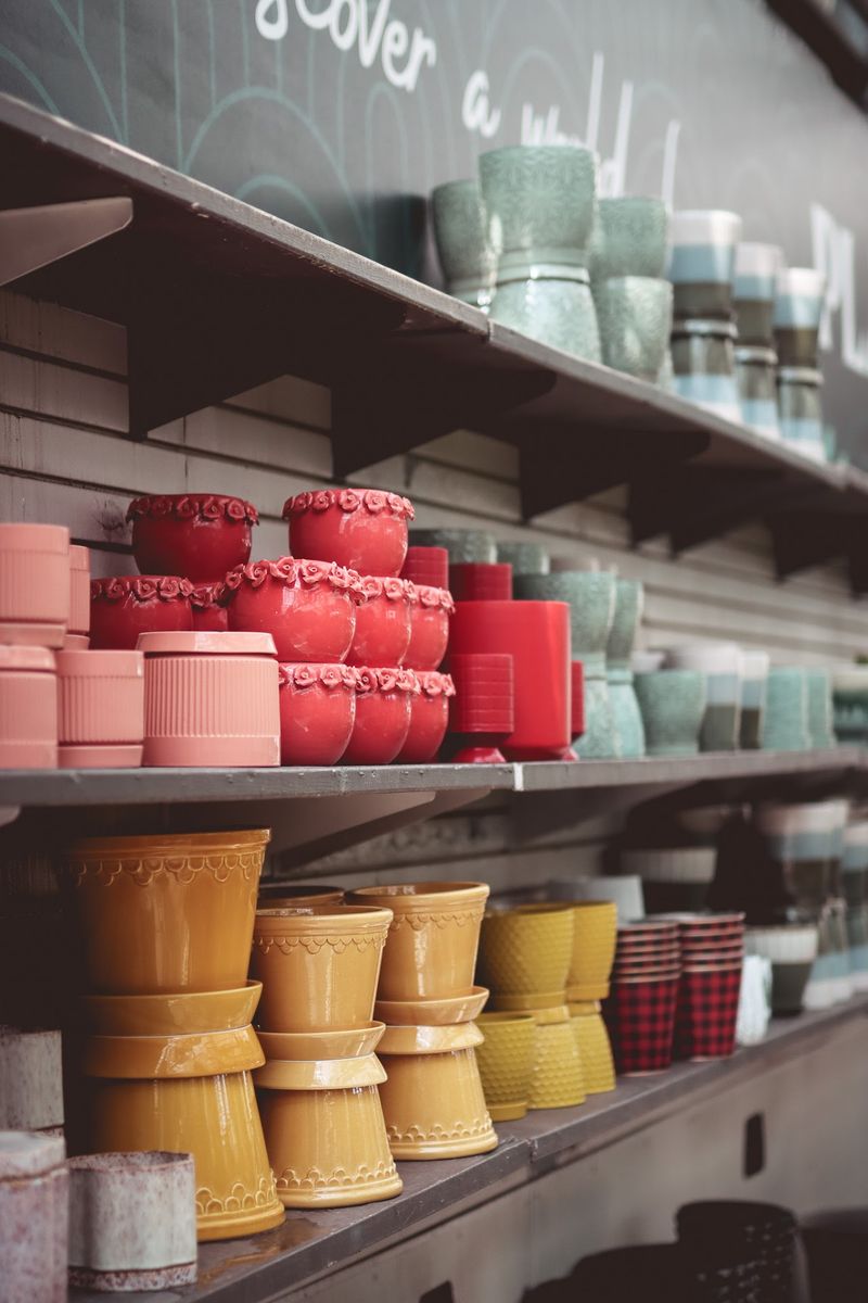 Pots, Planters, and the Great Container Hunt