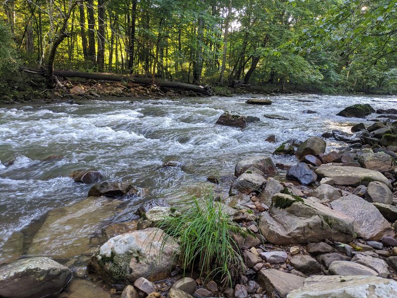 Potts Creek Delivers Trout Water Worth the Detour