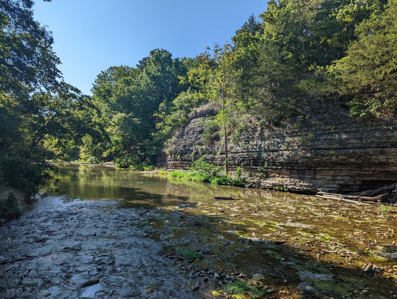 Primitive Camping Under The Trees