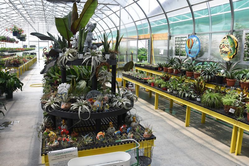 Produce Grown Right There On Site Produce Grown Right There On Site