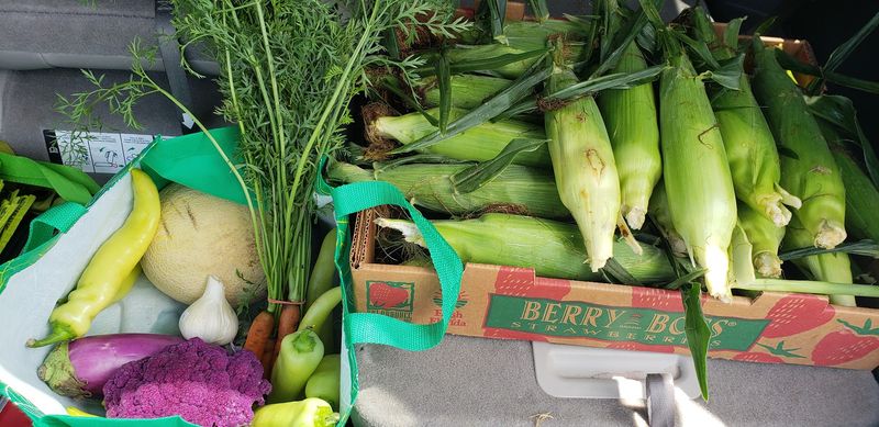 Produce Picked So Recently It Still Smells Like The Field Produce Picked So Recently It Still Smells Like The Field
