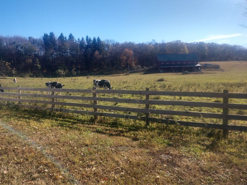Quiet Roads and Open Pastures