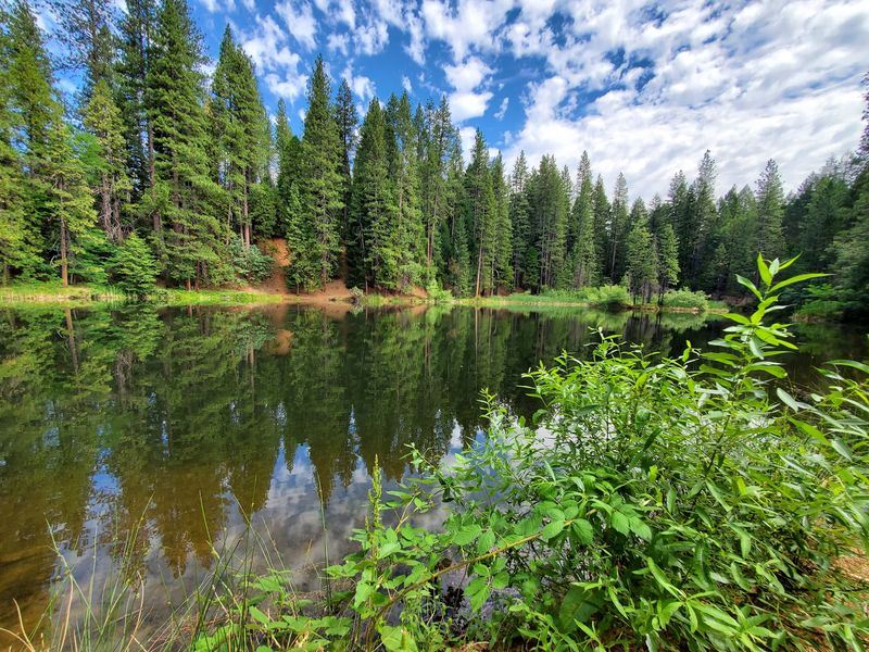 Quiet Water at Blair Lake