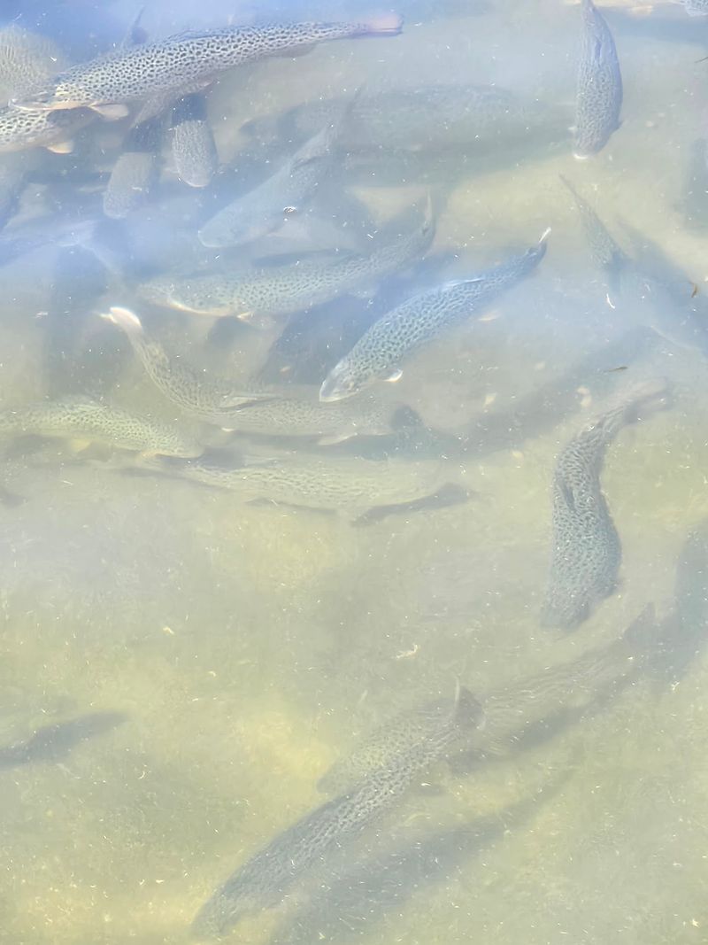 Raising the Next Generation of Anglers