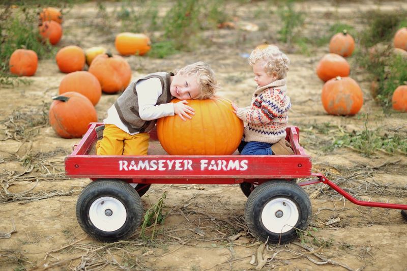 Ramseyer Farms, Wooster, OH