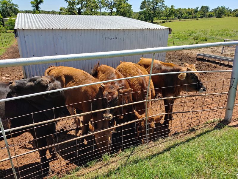 Randy, Chris, and a Family Farming Legacy