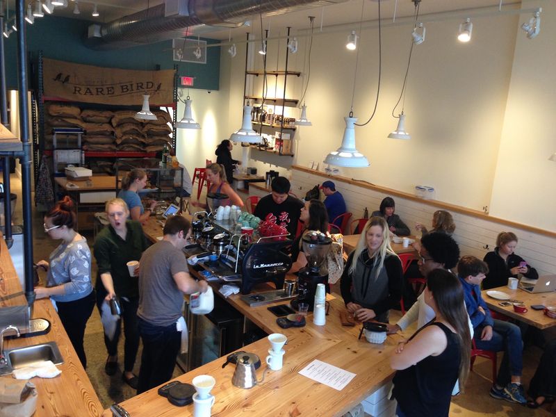 Rare Bird Coffee Roasters Lets the Beans Do the Talking