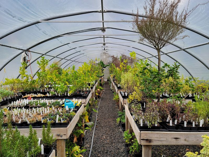 Rare Finds You Will Not Spot At A Garden Center Rare Finds You Will Not Spot At A Garden Center