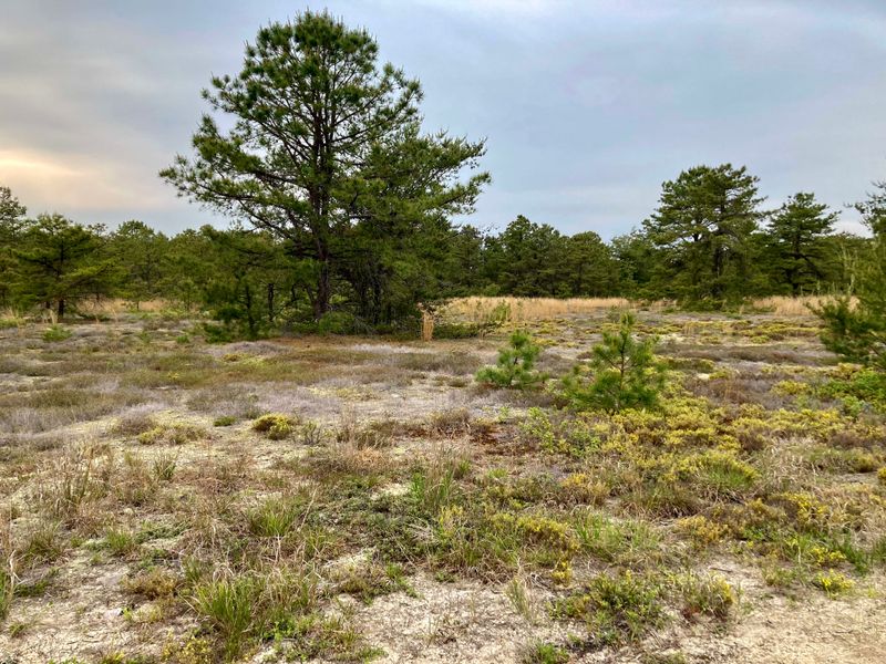 Rare Plants and Elusive Wildlife Rare Plants and Elusive Wildlife