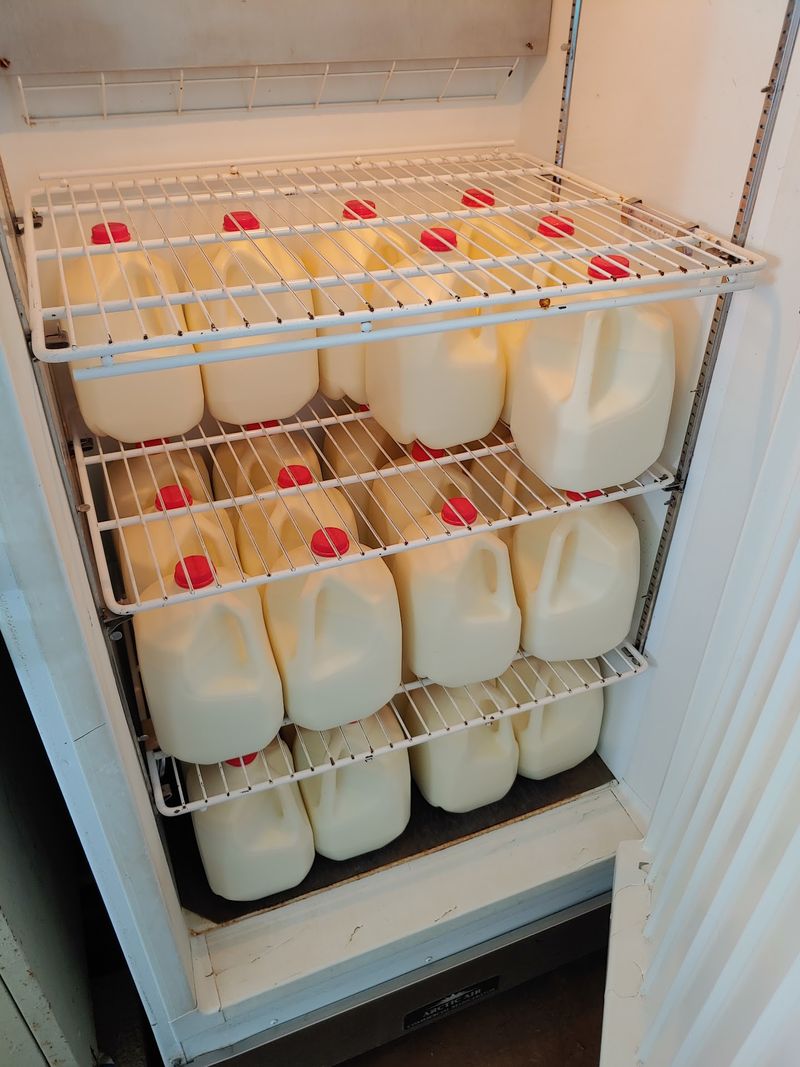 Raw Milk Basics for First-Timers