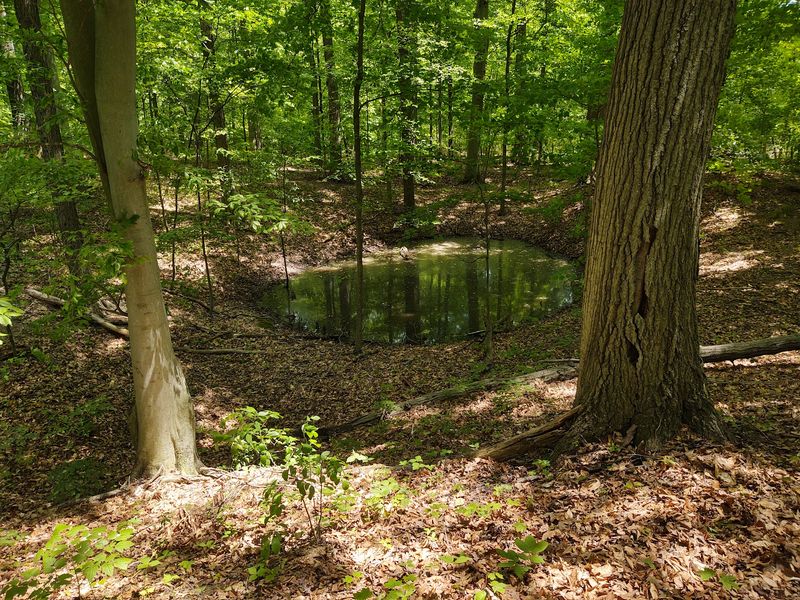 Reading the Quarry Pits Underfoot Reading the Quarry Pits Underfoot