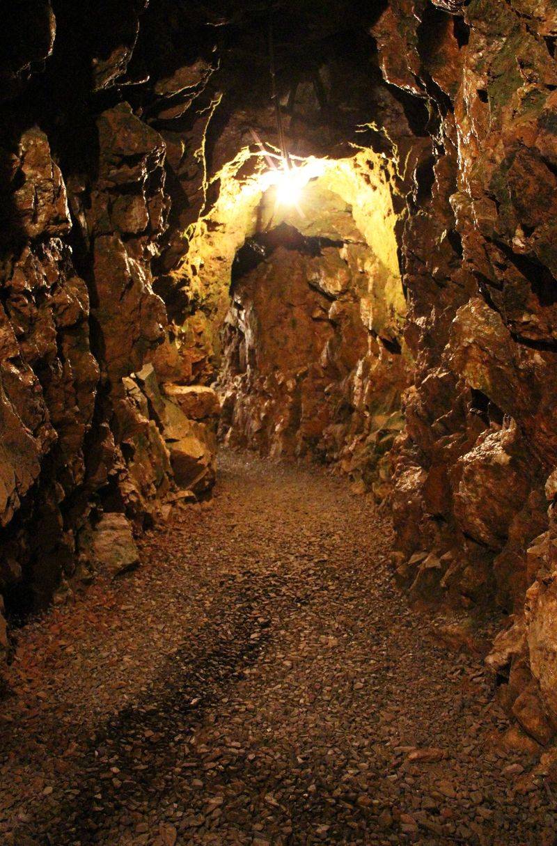 Reed Gold Mine, Where a Doorstop Turned Out to Be Treasure